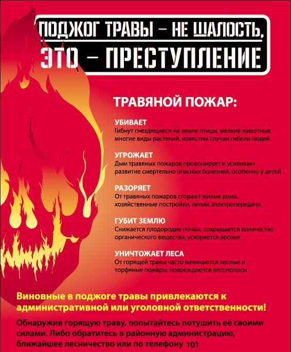 Поджог травы 