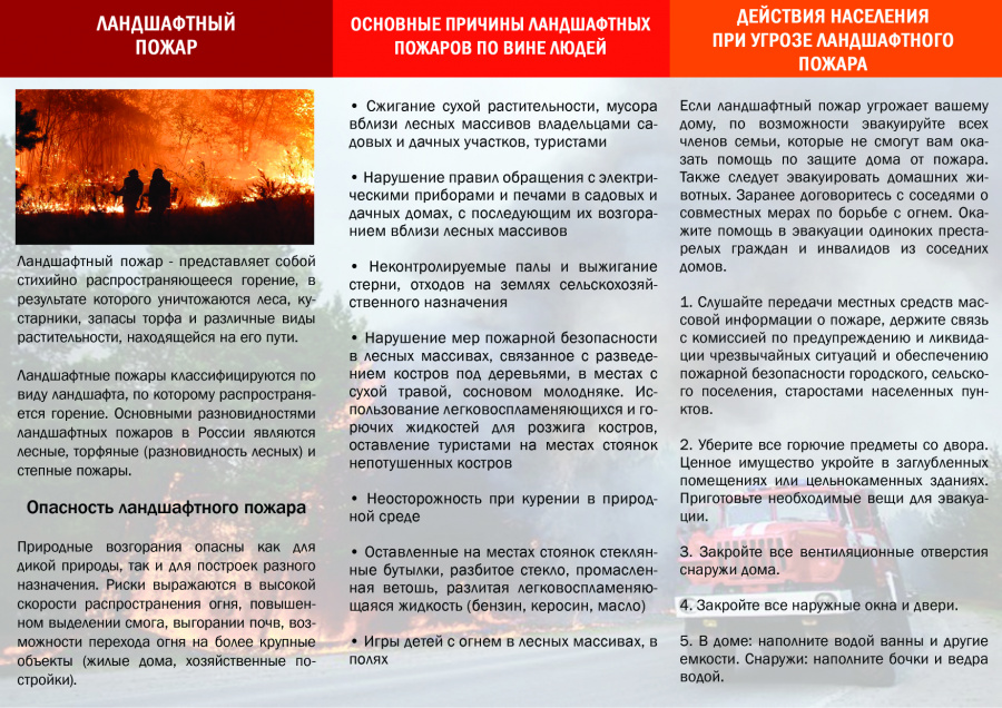 Памятка Ландшафтный пожар